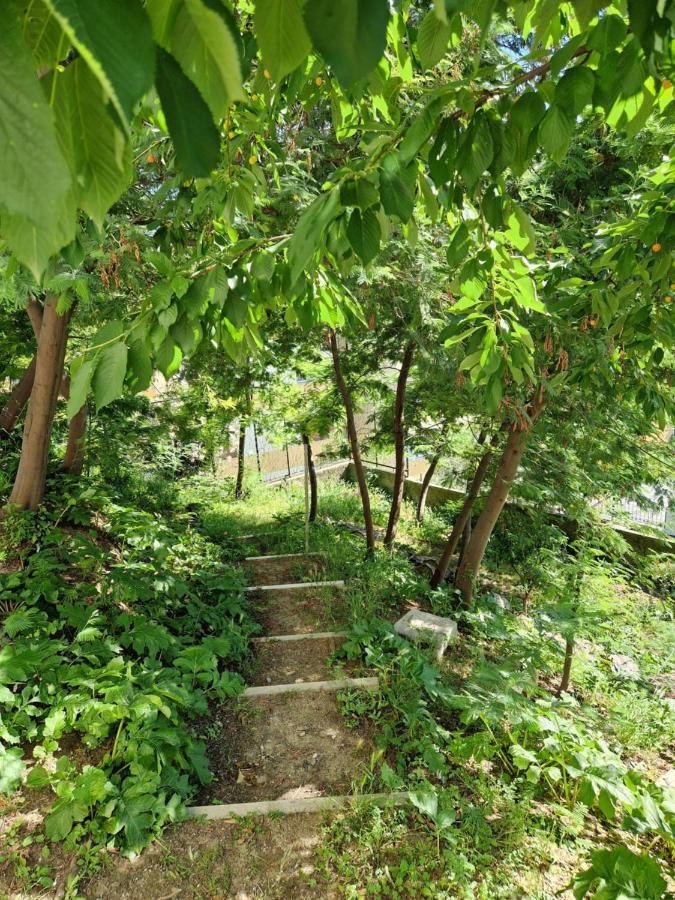Garden & View Apartment La Spezia Ngoại thất bức ảnh